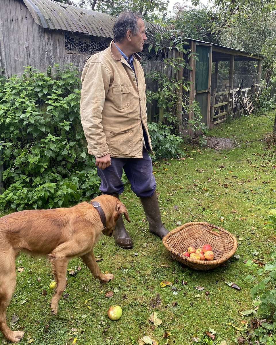 Looking ahead to tonight's #BBCGardenersWorld... It’s apple harvest time, and Monty shares tips on what to do with windfalls (with a little help from Ned) 🍏 See you at 9pm on BBC Two!