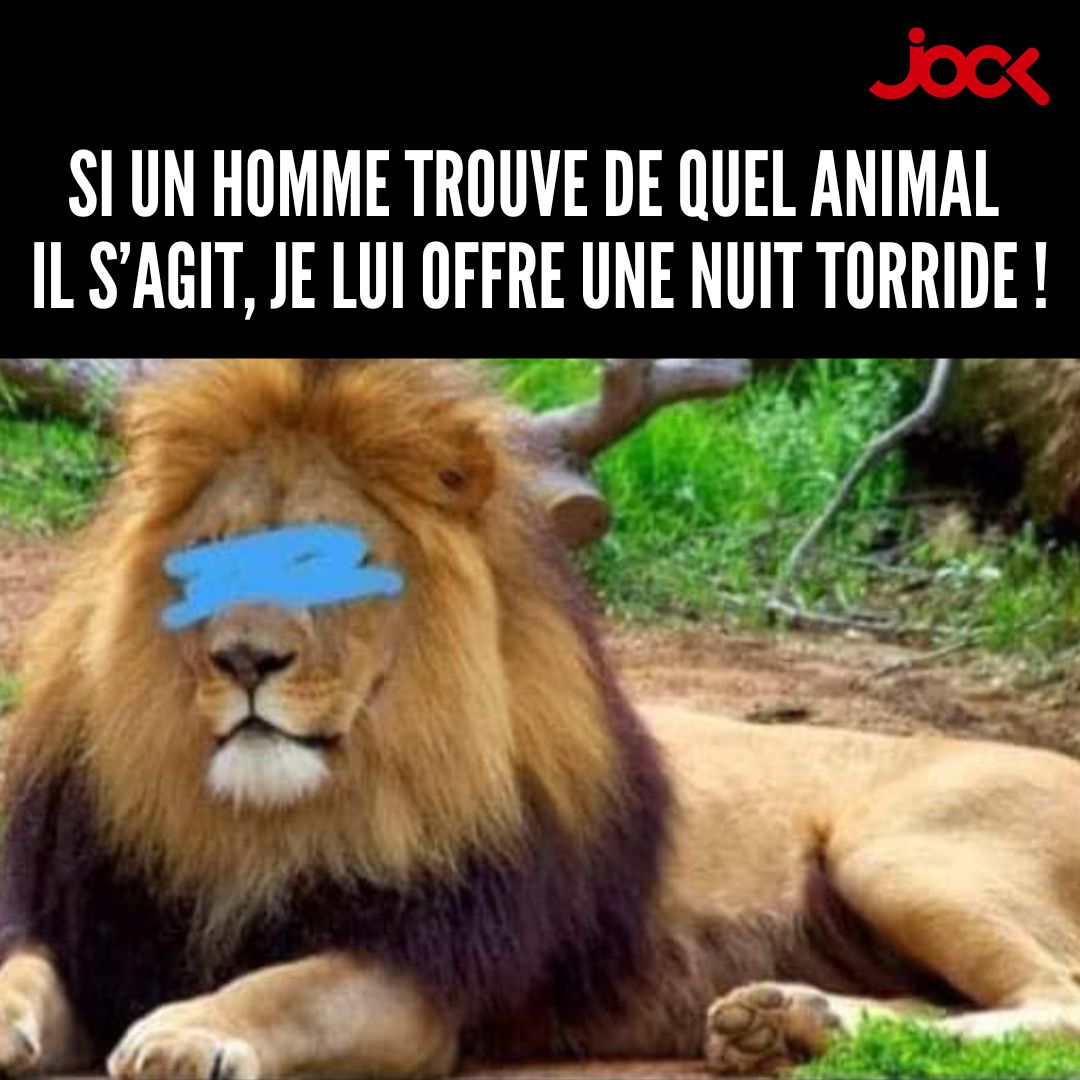 Jock tweet media