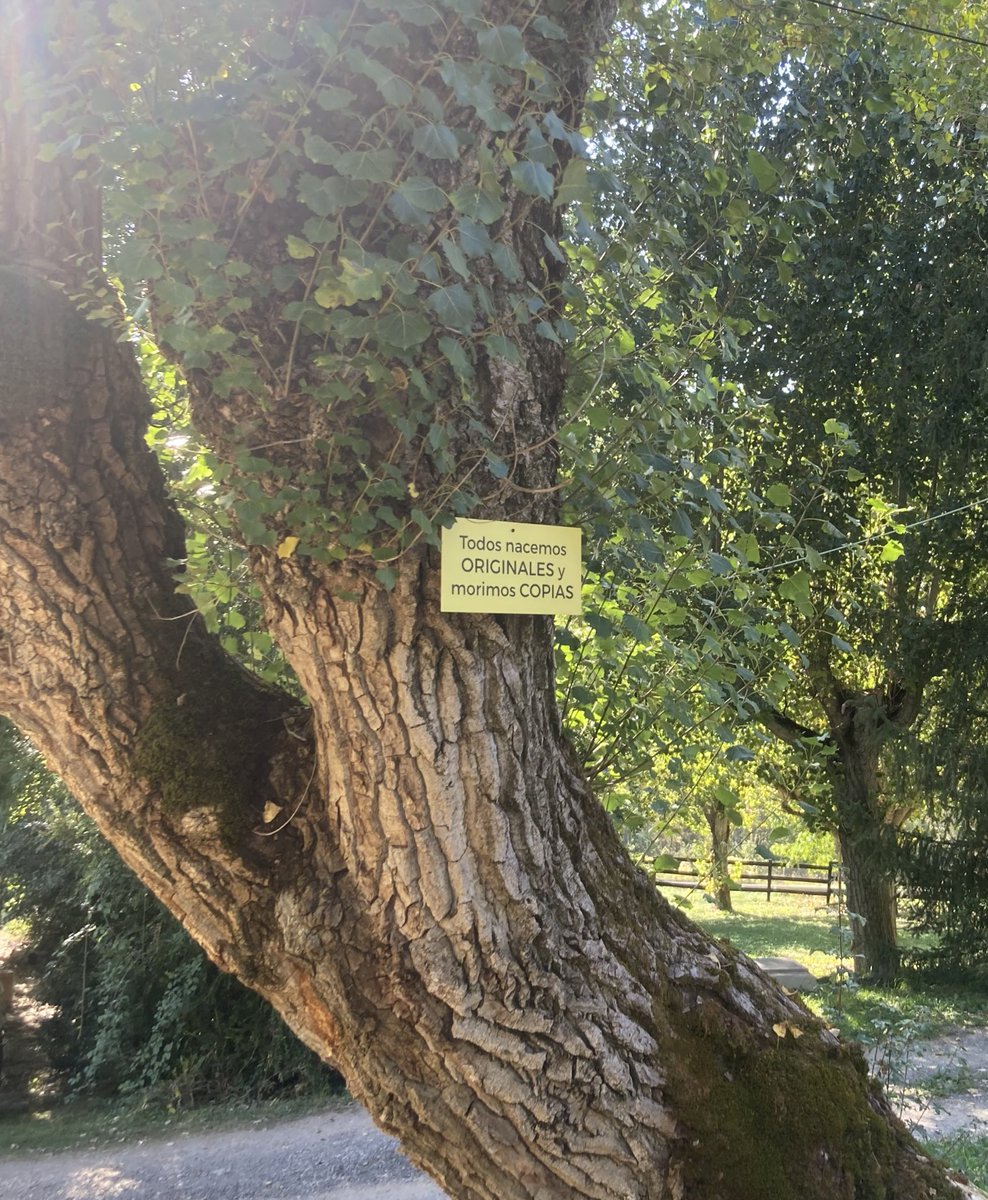 Vive Presente 📚Filosofia y Crecimiento tweet media