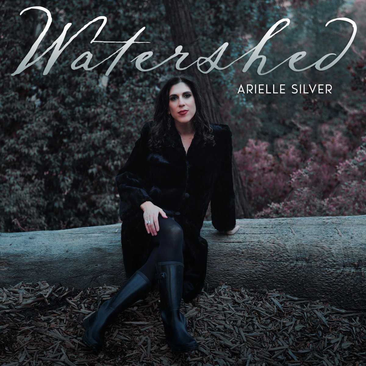 In the sun-soaked heart of California, Arielle Silver emerges on Watershed as a masterful storyteller, blending the soul of Americana roots with influences drawn equally from Laurel Canyon and Greenwich Village. @relsilver @SidewaysMedia newreleasesnow.com/album/arielle-…