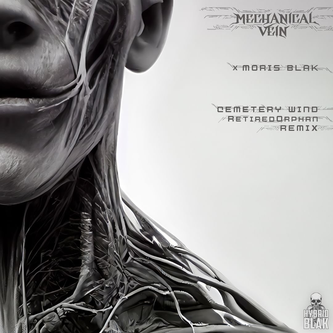 Hey fellas! I just did a remix for <a href="/MechanicalVein/">Mechanical Vein</a> and <a href="/moris_blak/">MӨЯIS BLΛK ᴛᴇᴄʜɴᴏ ᴇʀᴀ</a>! It was an honor putting my spin on such a killer track. It has such a gritty feel and takes me back to the 2018 glory days of midtempo tbh.

Available on all streaming platforms! Enjoy! ❤️