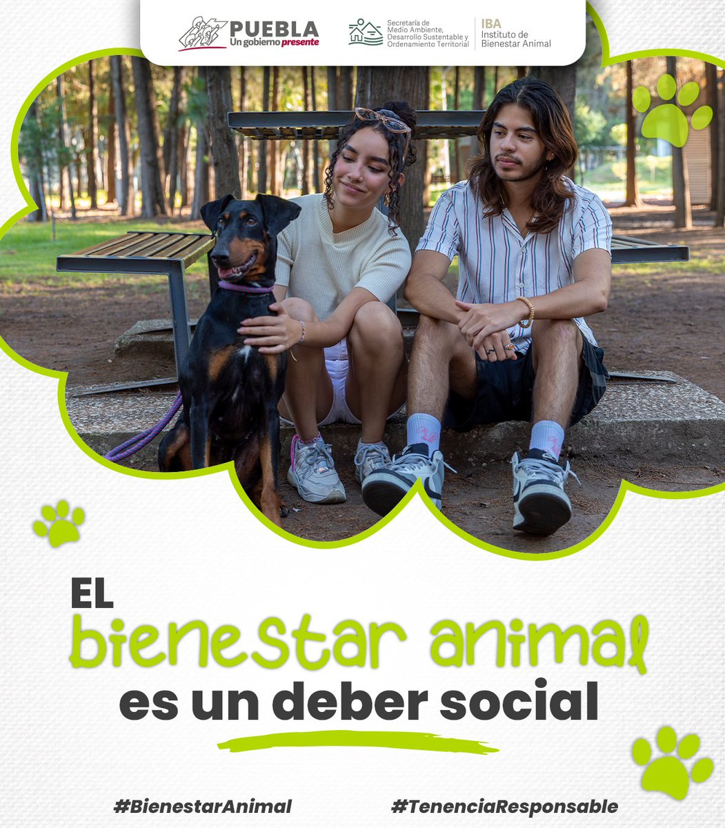 CordesPuebla's tweet photo. 🐶🐱❤️   Cada ser vivo merece amor y respeto. Juntas y juntos podemos crear un Puebla   más conciente y seguro para nuestros michis y lomitos. Si eres testigo de un   acto de crueldad animal genera una #DenunciaResponsable, infórmate en el   @IBAGobPue o llama al 📞222 273 68 99. https://t.co/rfYyjktqwE