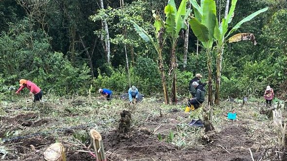 F𝐎R𝐓A𝐋E𝐂E𝐌O𝐒 𝐋A T𝐑A𝐍S𝐈C𝐈Ó𝐍 𝐀G𝐑O𝐄C𝐎LÓG𝐈C𝐀
Junto a varias productoras y productores de las parroquias de 𝑷𝒂𝒍𝒐 𝑸𝒖𝒆𝒎𝒂𝒅𝒐 𝒆𝒏 𝑪𝒐𝒕𝒐𝒑𝒂𝒙𝒊 𝒚 𝑷𝒂𝒄𝒕𝒐 𝒆𝒏 𝑷𝒊𝒄𝒉𝒊𝒏𝒄𝒉𝒂, compartimos una jornada de siembra de doce variedades de caña... 1/2