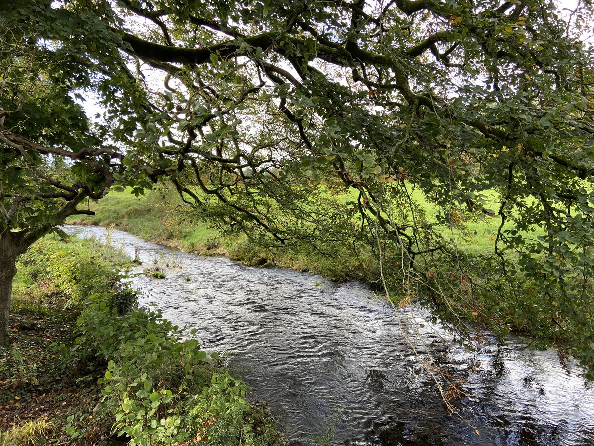 grassstomp's tweet photo. Had a lovely lil time with Joseph in North Wales this week! 🏴󠁧󠁢󠁷󠁬󠁳󠁿 

Driving through valleys, hiking up trails, exploring the local area, making tasty food &amp; snuggling up with our annual autumn Gilmore Girls rewatch in a smol cabin made for a cute lil getaway 💕

#Holiday #NorthWales https://t.co/F5T9mQeRm0