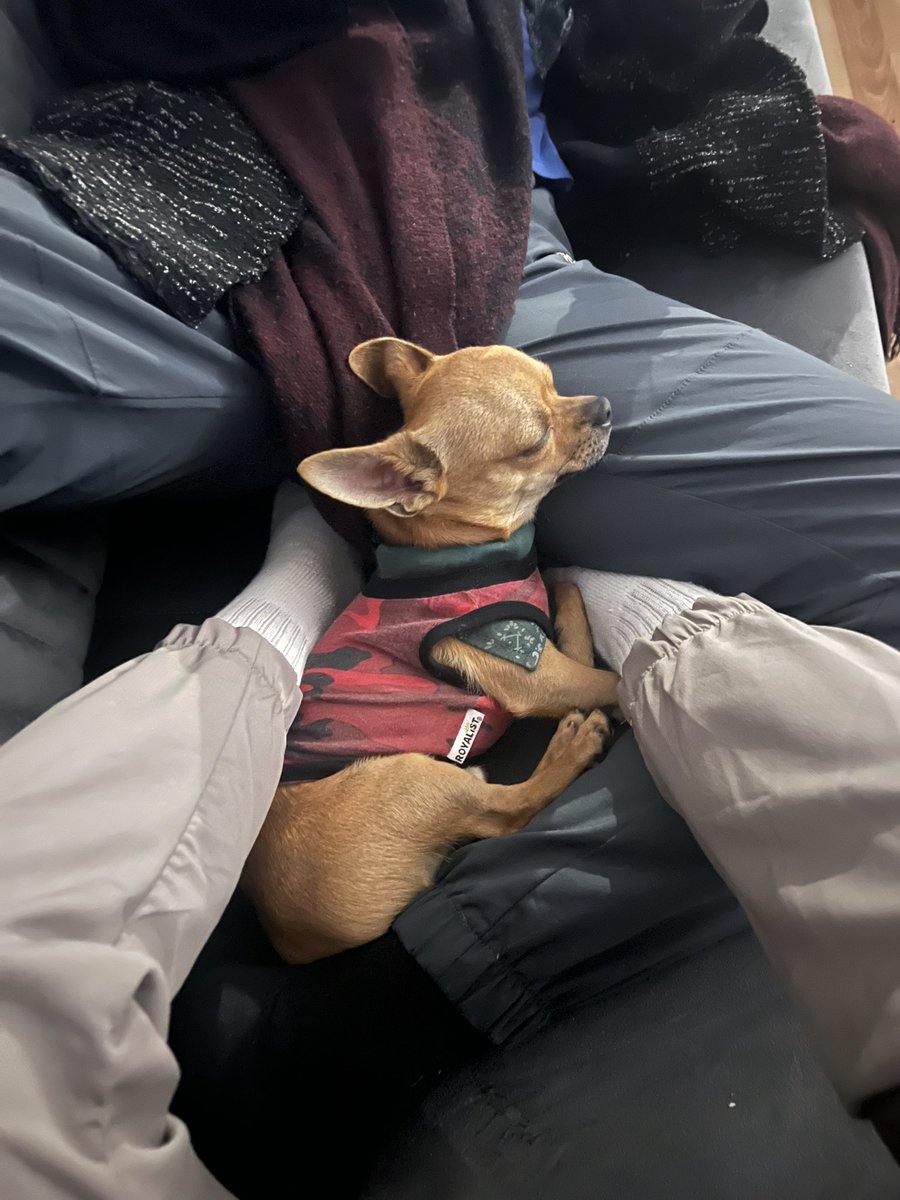 ilke🦌 (@ilkeeeeeeeee) on Twitter photo 