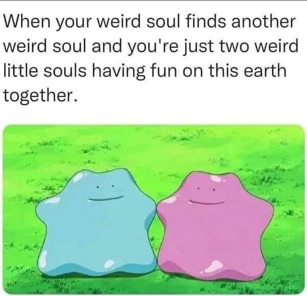 EverythingOOC's tweet image. 