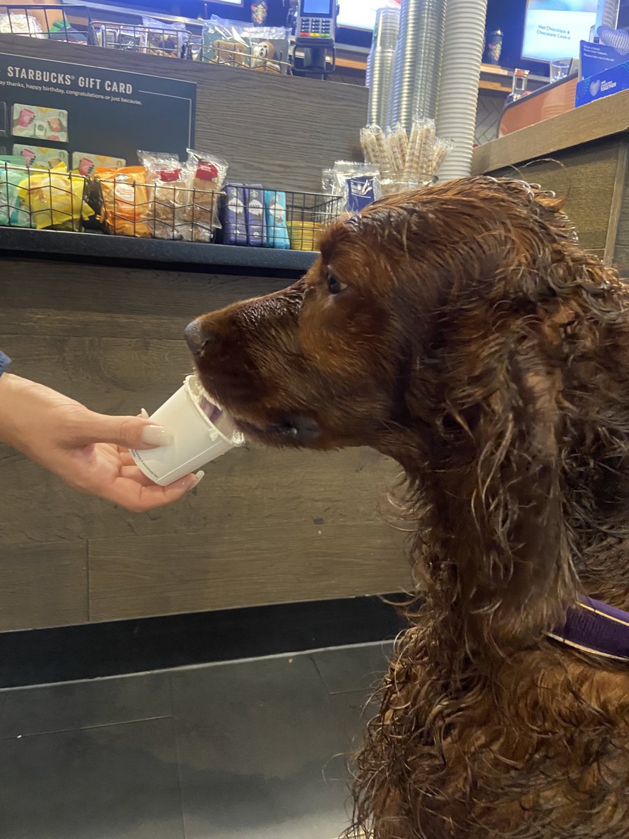 SeamusJoyce 💙 tweet media