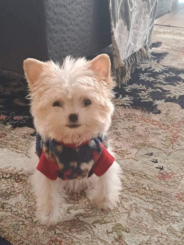 The love of my life❣️