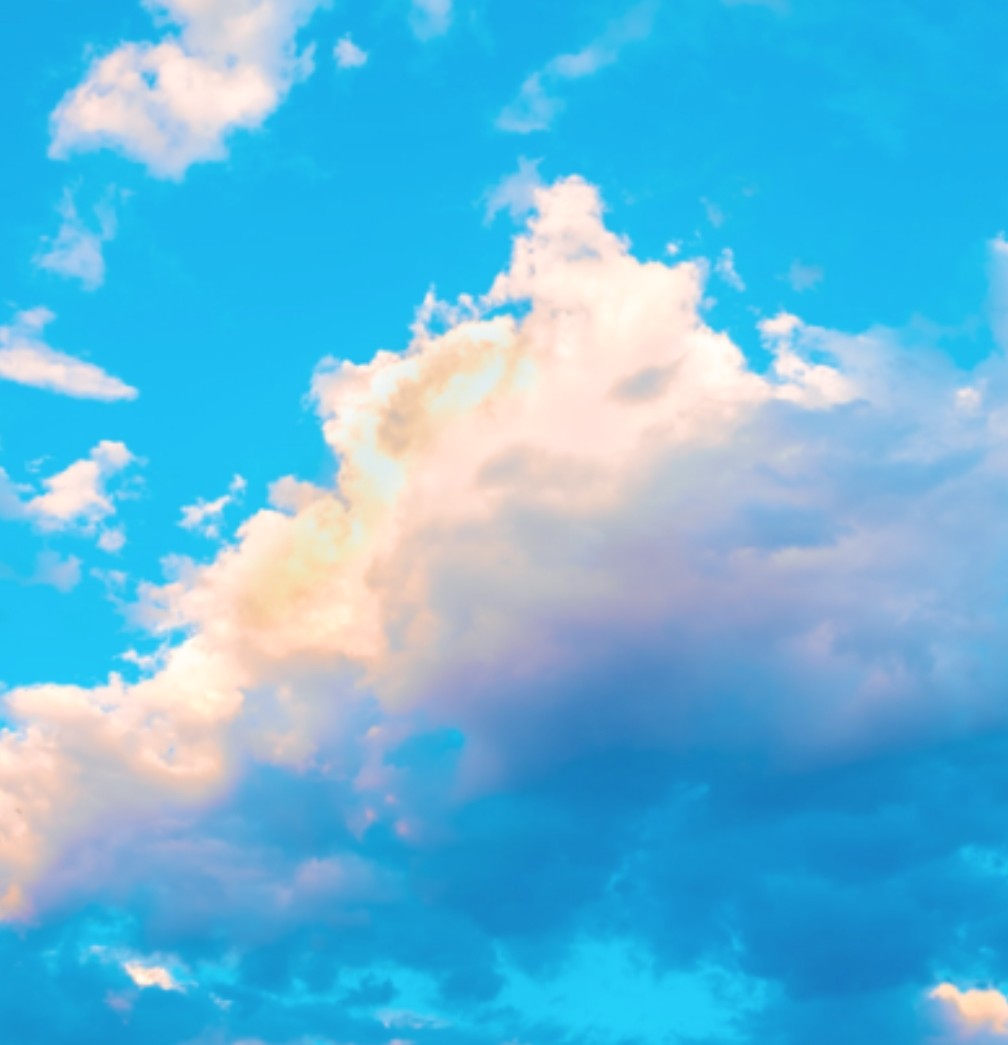 Rookie Records tweet media