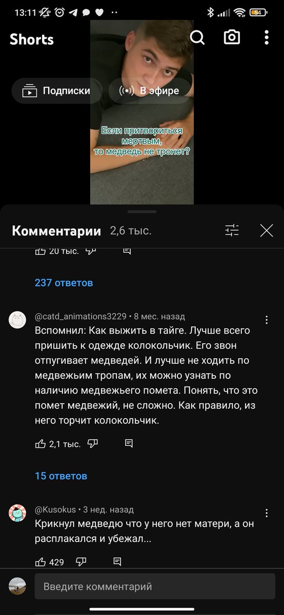 видео: как себя вести если встретил медведя 
я с мамой: хихикаем 10 минут над гениальными комментами