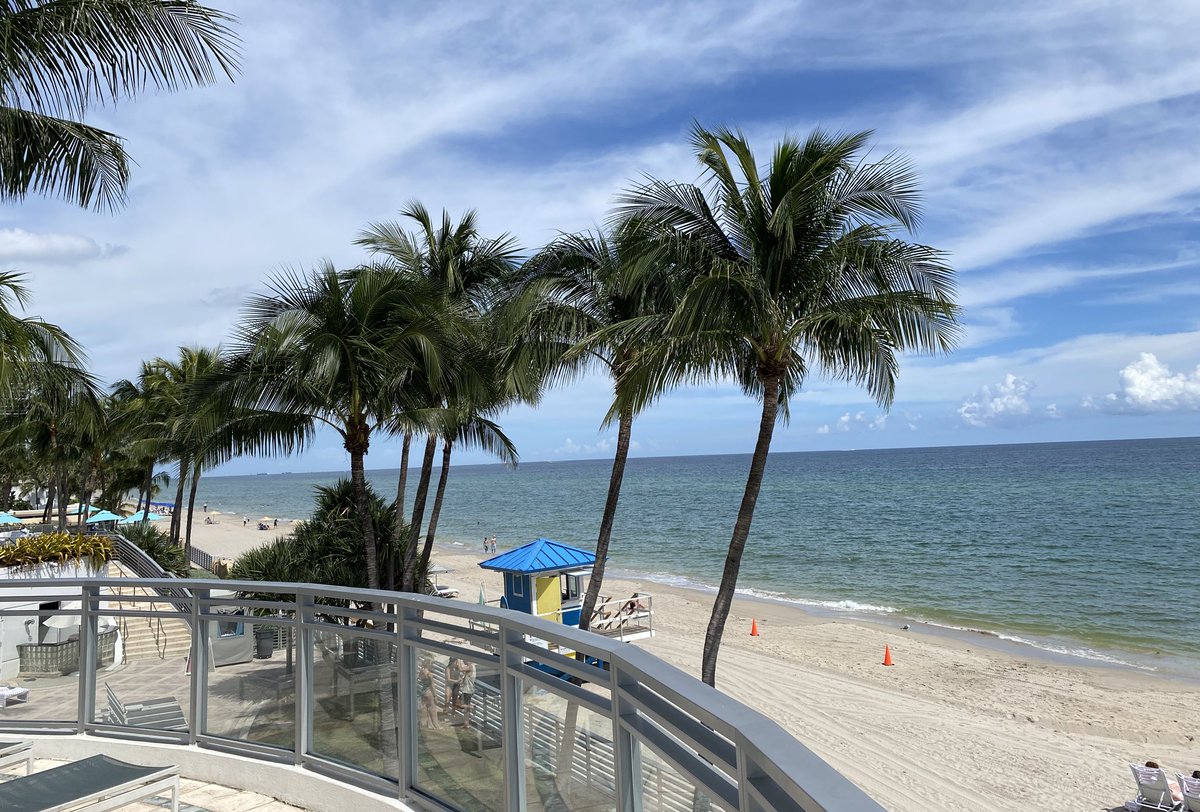 stacy_hurt's tweet photo. 2 key takeaways from #SCRS23 so far:
1) I need to up my wardrobe game 
2) Drinking watermelon water while looking at a palm tree for a meeting sure beats a Teams chat 🌴 https://t.co/JUpAGrjQJm