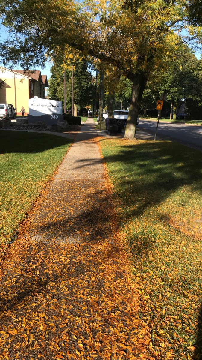 Insane_Vampire_'s tweet photo. Fall is here 🍁 https://t.co/rRoYsk69iT