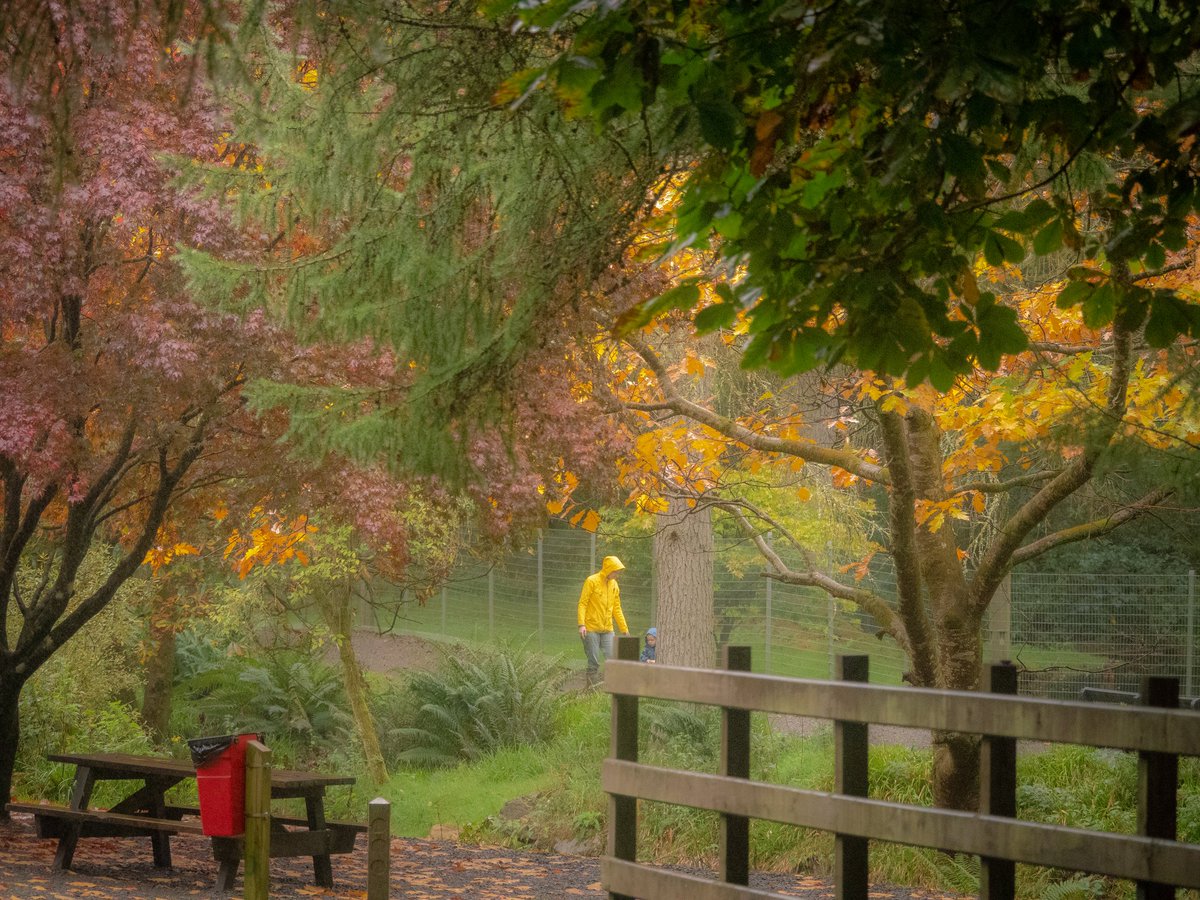 Autumn drizzle in Co Tyrone today <a href="/angie_weather/">angie phillips</a> <a href="/bbcniweather/">BBC NI Weather</a> <a href="/TyroneCourier1/">Tyrone Courier</a> <a href="/Louise_utv/">Louise Small</a>
