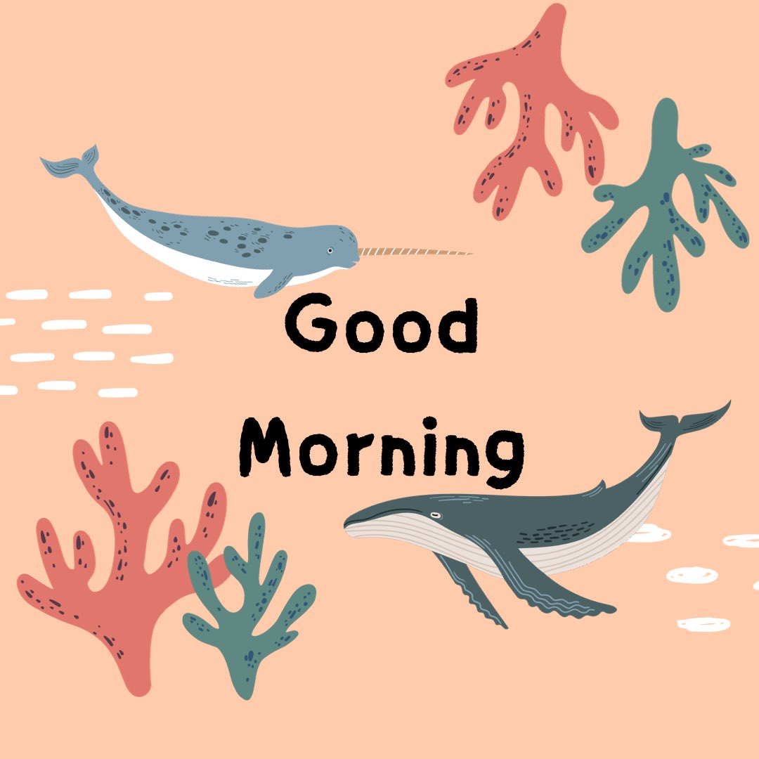 Wise Whales (@wisewhales) on Twitter photo Gm
Whatโs the next free mint you are looking forward to? Gm
Whatโs the next free mint you are looking forward to?