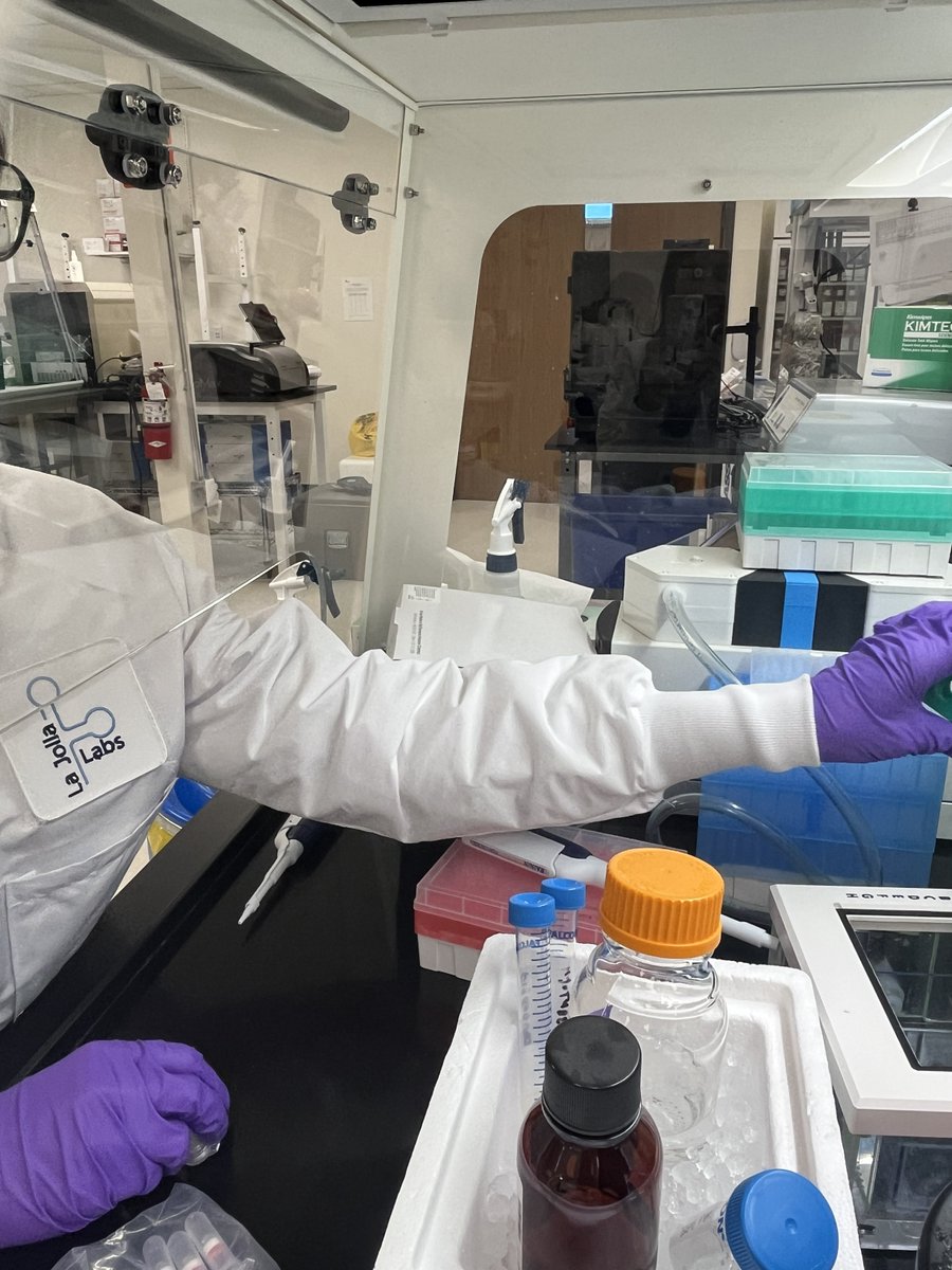 Today in the lab: Our scientists are extracting RNA from iPSC derived myotubes

#biotech #RNAextraction #LJL #InTheLab #labwork #scientist #lajollalabs