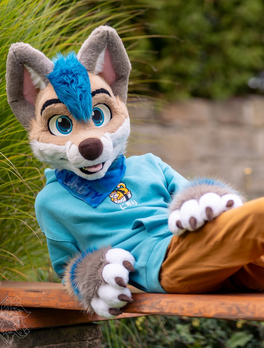 Whity_Inu's tweet photo. Would you boop me? #FursuitFriday 

📸@vlaaacek https://t.co/4PNQcbGM9I