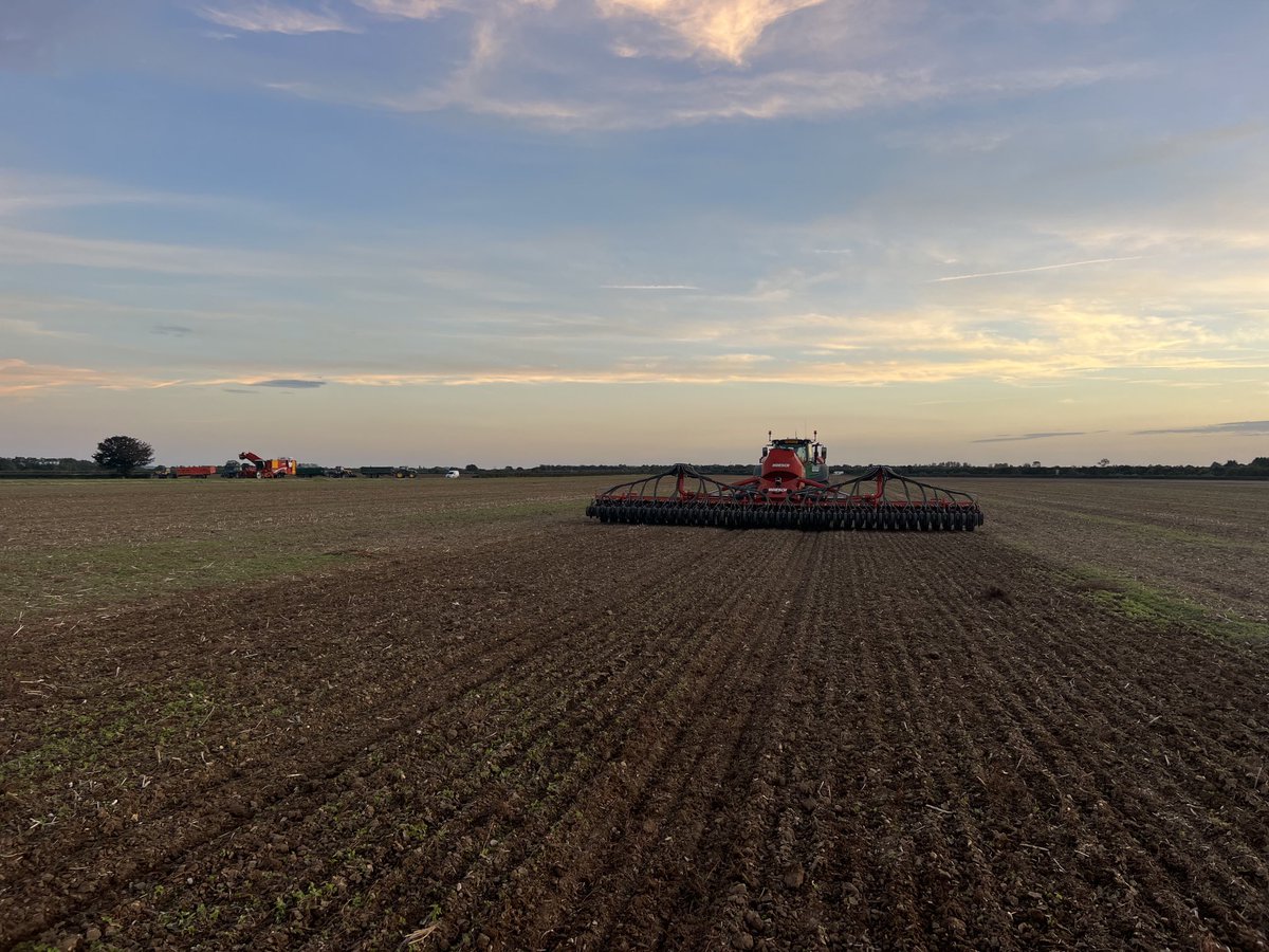 Pxfarms's tweet photo. Sandy on the serto https://t.co/zPqxJx0zzY