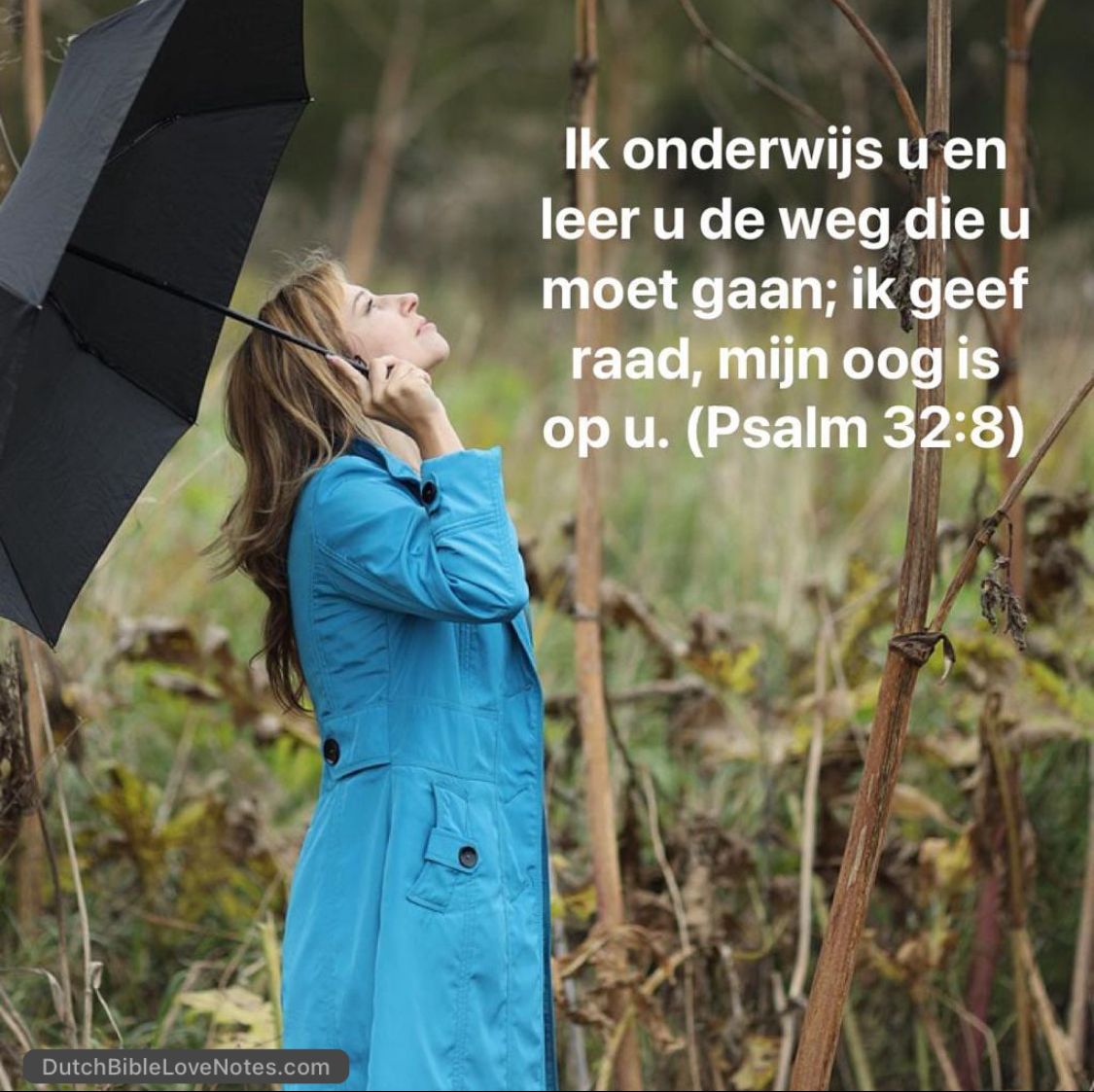 BibleDutch's tweet photo. https://t.co/TcPmaDQrOx