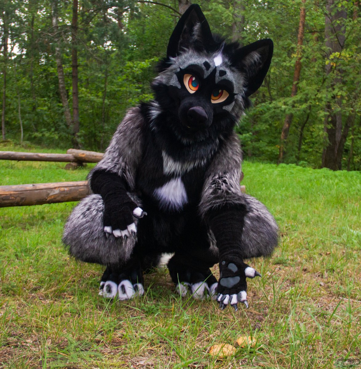 🍄🦊✨
#FursuitFriday
