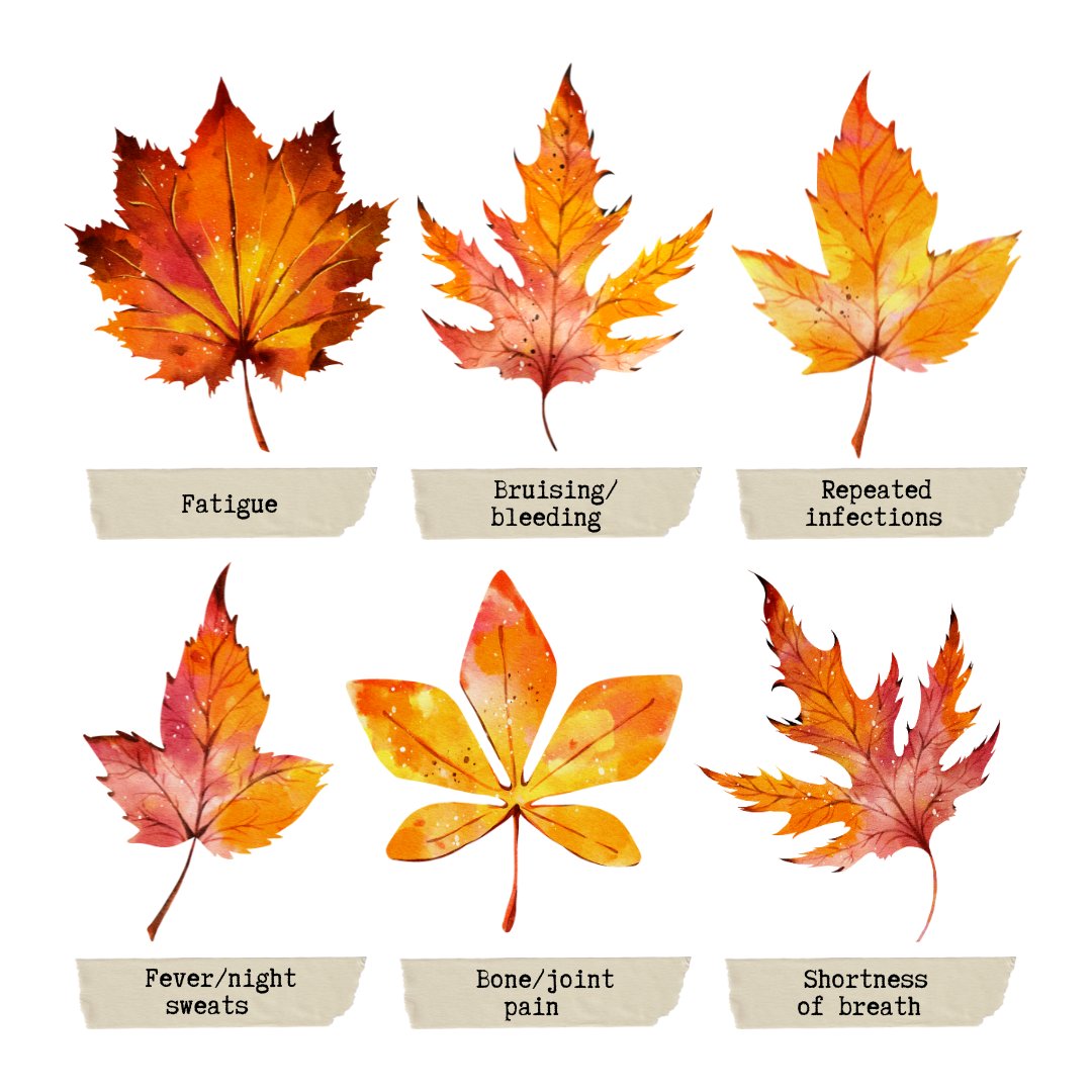 Leukaemia Care tweet media