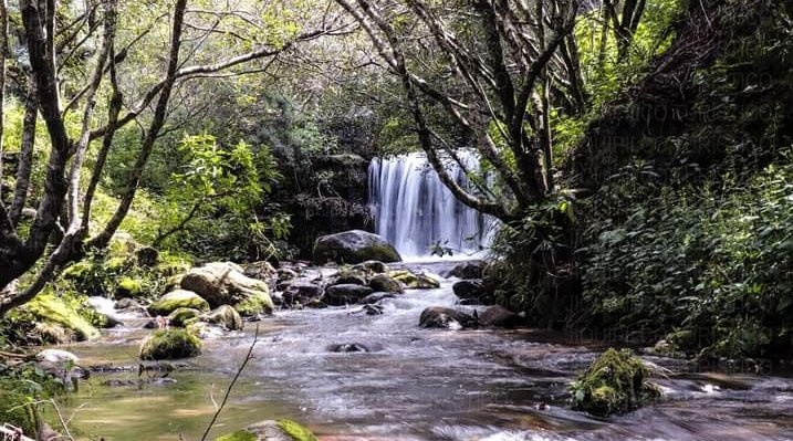 Las maravillas que tenemos en el bello  municipio, presa del jabalí 
#Distrito15
#Jiquipilco 
#DeMiPuebloParaElMundo