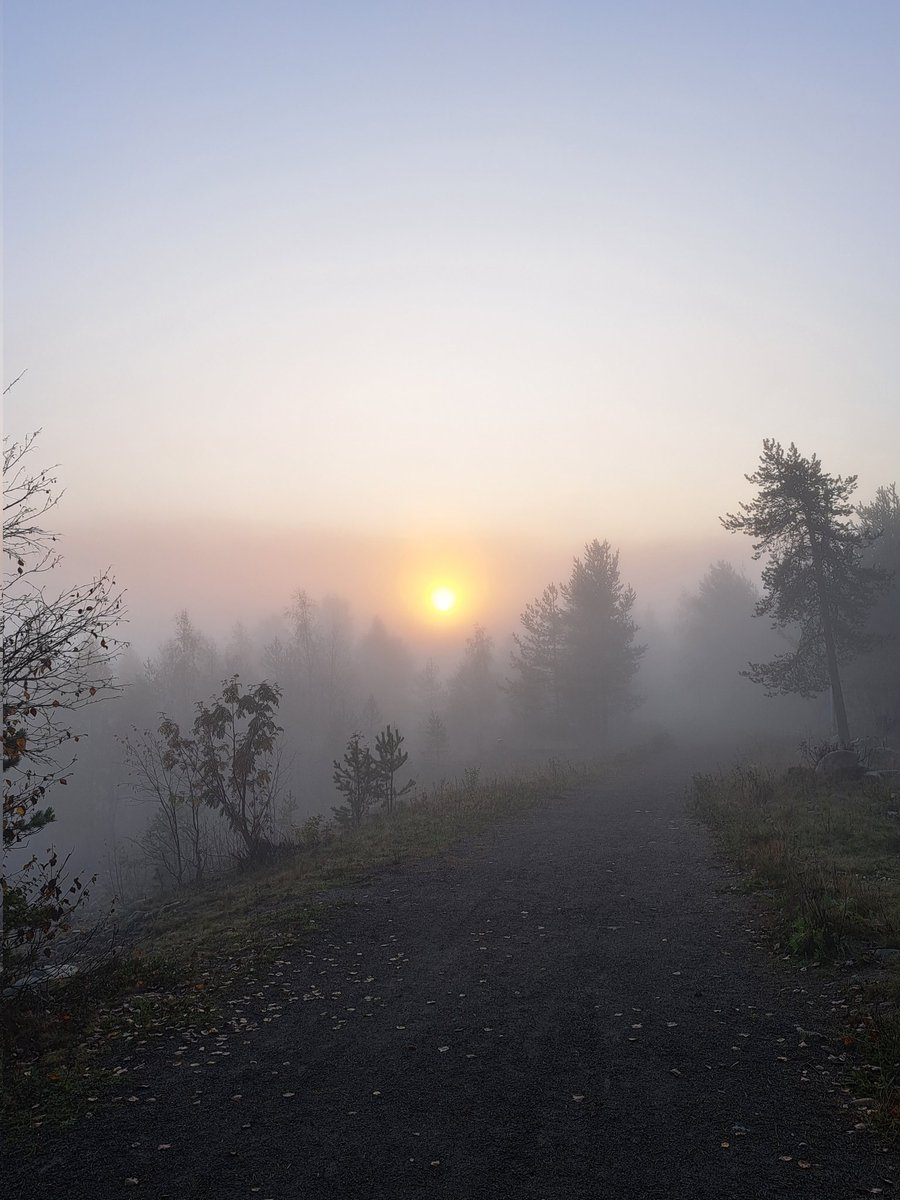 On se ilmoja pidellyt #AutumnVariations #autumn2023 #foggyweather #sunrays #NaturePhotograhpy #lapland #aboveordinary