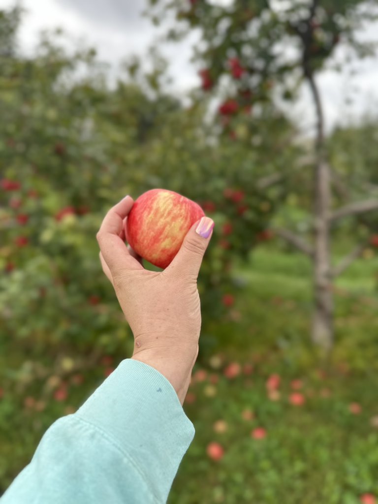 whits_avibe's tweet photo. Apple picking https://t.co/iT7U6CZ86E