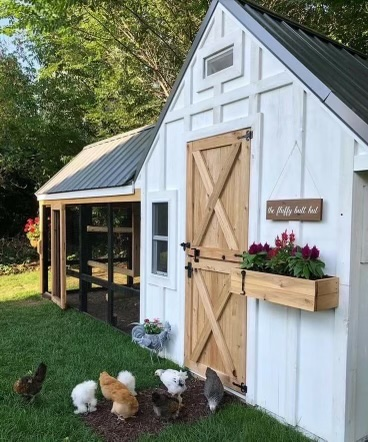 SunnySideUpmba's tweet photo. 📢FUN FACT FRIDAY: Did you know??

Farm-raised eggs are healthier than commercially-grown eggs! Farm-raised have: less cholesterol, less saturated fat, more Vitamin A &amp; E, more Omega-3, and more beta carotene!
Happy chickens make happy eggs, and a happy you! https://t.co/zc4H2E7mXw