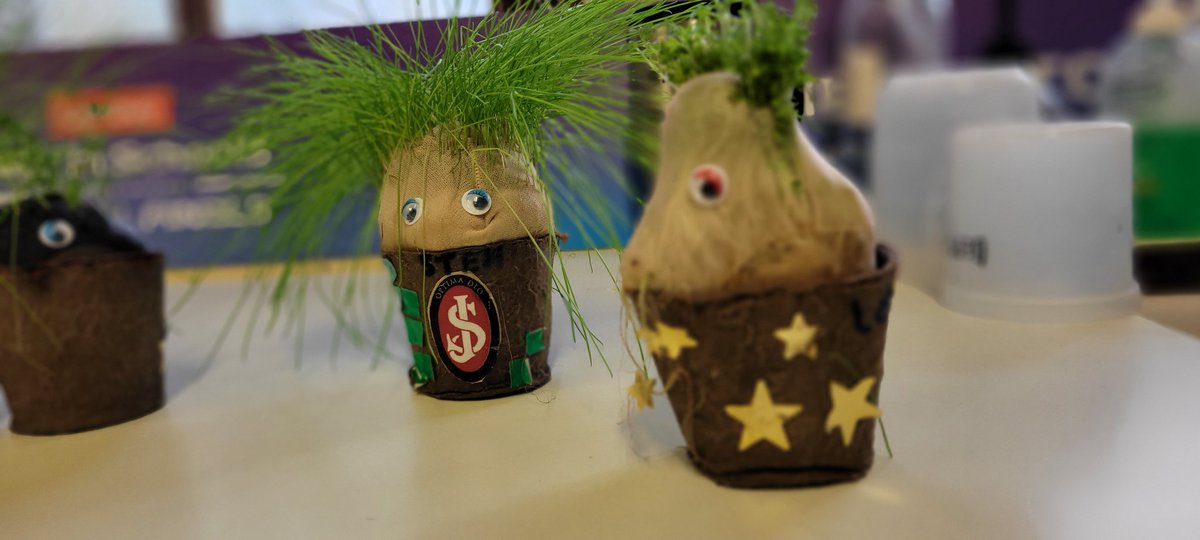 SJCRSTEM tweet media