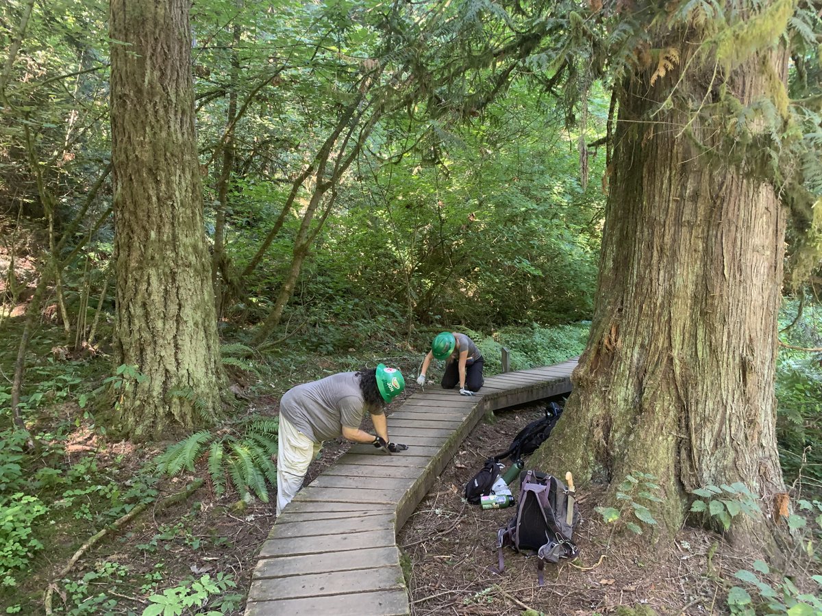 wsuvosi's tweet image. Happy Friday Cougs! 
Looking for some volunteer experience? Join the Rec-office in another Coug Trail Maintenance with WTA on October 21st from 9am-1pm! In-person sign-ups at the Rec-Office! 🌳👷‍♀️