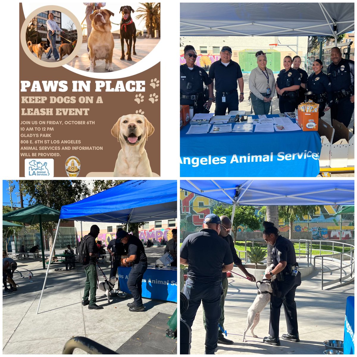 Central Divisions “Paws in Place” where we assist the community in partnership with LA Animal Services to provide necessities for pet owners.  Today, we are in Gladys Ave Park off of 5th St. <a href="/lapdmikeoreb/">Michael A. Oreb</a> <a href="/LAPDCaptMorales/">LAPD CMDR E. MORALES</a> <a href="/LAPDCARRANZA/">Lillian L. Carranza🇺🇸</a> <a href="/LAPDHQ/">LAPD HQ</a>