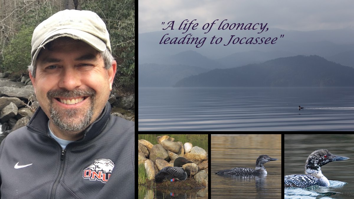 Clemson University Biological Sciences (@clemson_biolsci) on Twitter photo Join us for seminar - Monday, Oct 9, 11:15am. We're excited to welcome Jay Mager from <a href="/ohionorthern/">Ohio Northern Univ.</a> presenting, "A life of loonacy, leading to Jocassee."
my.onu.edu/node/37167
Hosted by Virginia Abernathy.
Email biolsci@clemson.edu for Zoom link. Join us for seminar - Monday, Oct 9, 11:15am. We're excited to welcome Jay Mager from <a href="/ohionorthern/">Ohio Northern Univ.</a> presenting, "A life of loonacy, leading to Jocassee."
my.onu.edu/node/37167
Hosted by Virginia Abernathy.
Email biolsci@clemson.edu for Zoom link.
