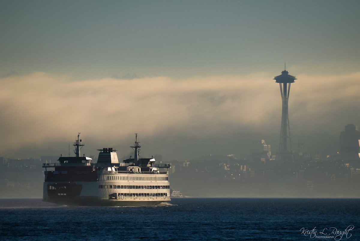 KristinLRaught's tweet image. The fog in the city looked so cool from here this morning.