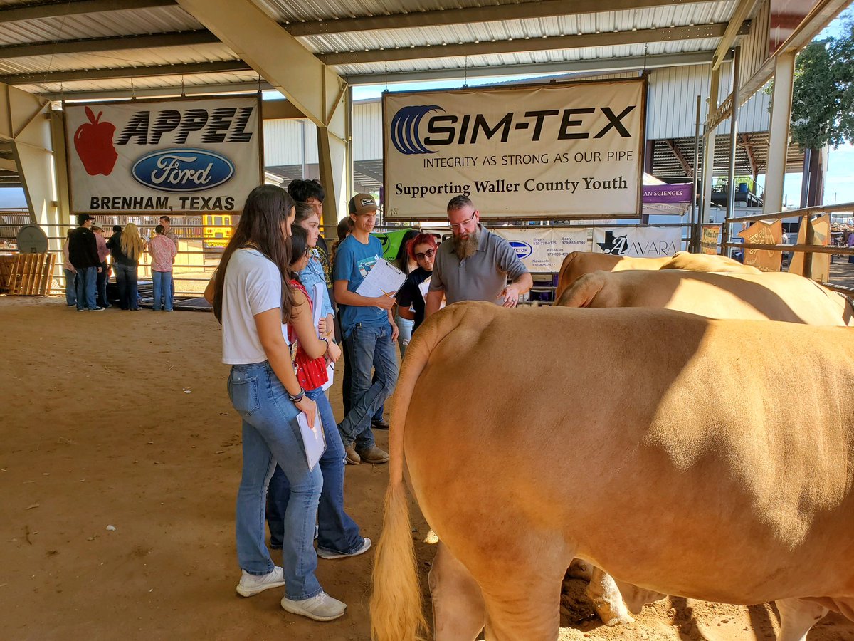 SpringbranchFFA's tweet photo. Some of our members spent their Friday holiday at the Waller County Fair Livestock Judging contest to better their ability at livestock evaluation! #learningtodo #doingtolearn https://t.co/g8ouiCmBh7