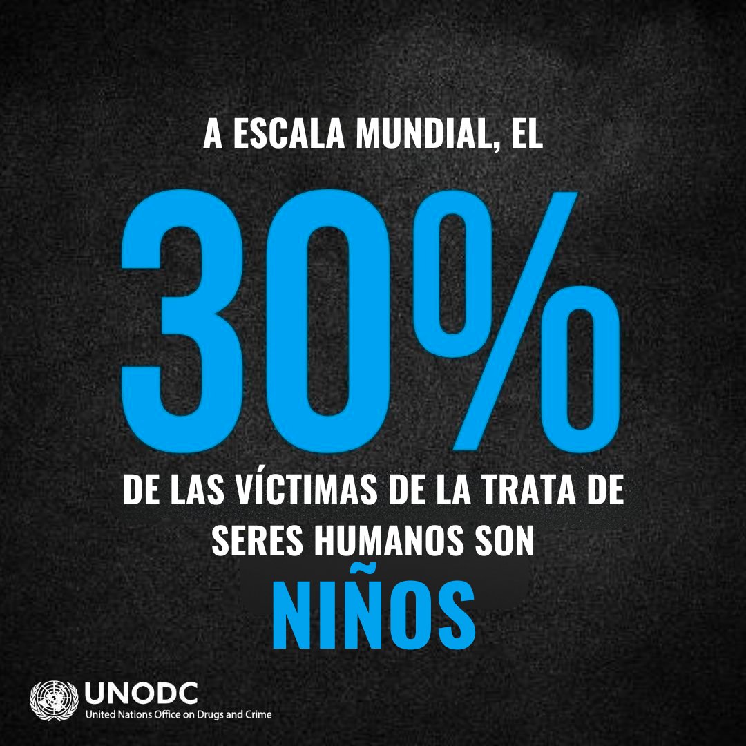 Naciones Unidas tweet media