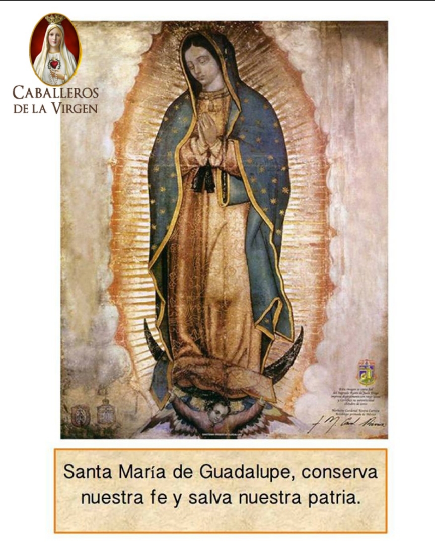 Caballeros de la Virgen tweet media