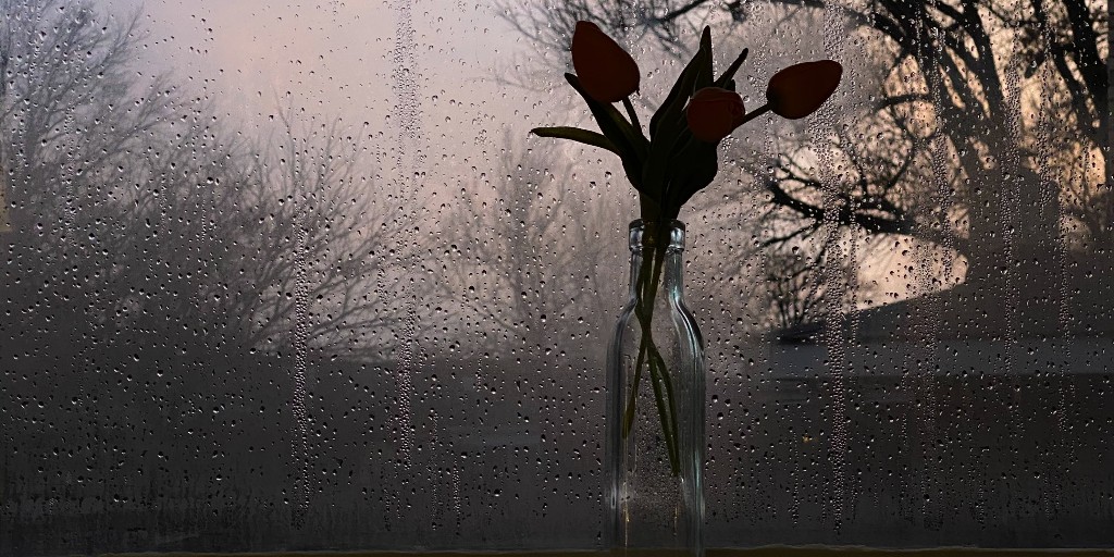 Heading out for the weekend? Don't forget to get your room ready for the upcoming storm! Make sure to close and lock your windows, keep your valuables off the floor, and be prepared for any power interruptions. For more tips, see our storm info guide: ow.ly/BMSQ50PU2Pj