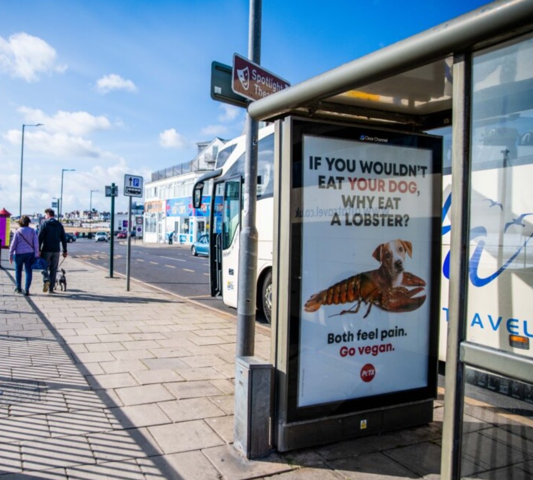 Elisa_Allen's tweet photo. Lobster liberation! New @PETAUK ad campaign in Bridlington, the 'lobster capital of Europe.' https://t.co/zxxhJa1qme