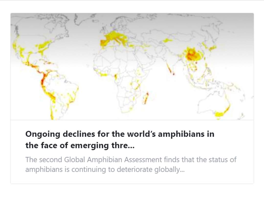 mushnatUsac's tweet photo. Artículo "Disminuciones actuales de los anfibios del mundo ante las amenazas emergentes". Uno de los autores es Carlos Vásquez a quien felicitamos. El Museo MUSHNAT es una institución que apoya y sostiene investigaciones sobre la diversidad biológica. https://t.co/Dy6DjUQkZu https://t.co/LJmOlzWHDz