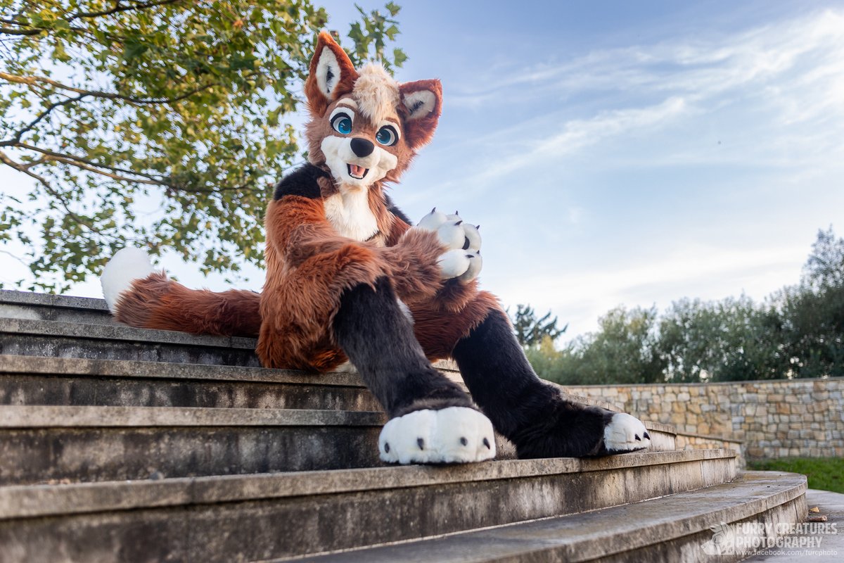And how is -your- #FursuitFriday going?

If you'd prefer to watch me on telegram, join my art channel, which is not controlled by algorithms: t.me/FurCPhotoArtLi…

🐺<a href="/FlupVolta/">Flup ⪢</a>
📷<a href="/paciulofursuits/">Paciulo Fursuits @paciulofursuits.bsky.social</a>