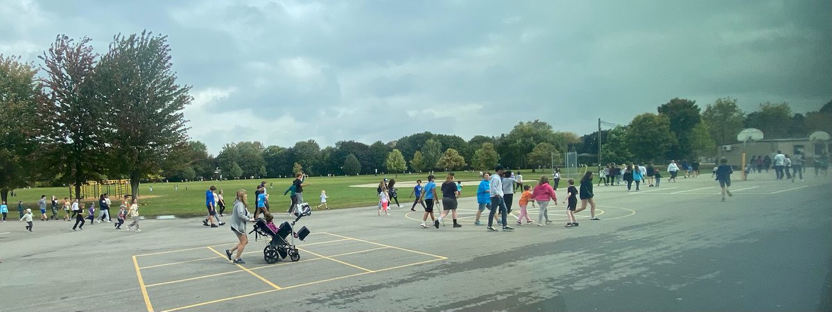 Waverley Drive PS tweet media