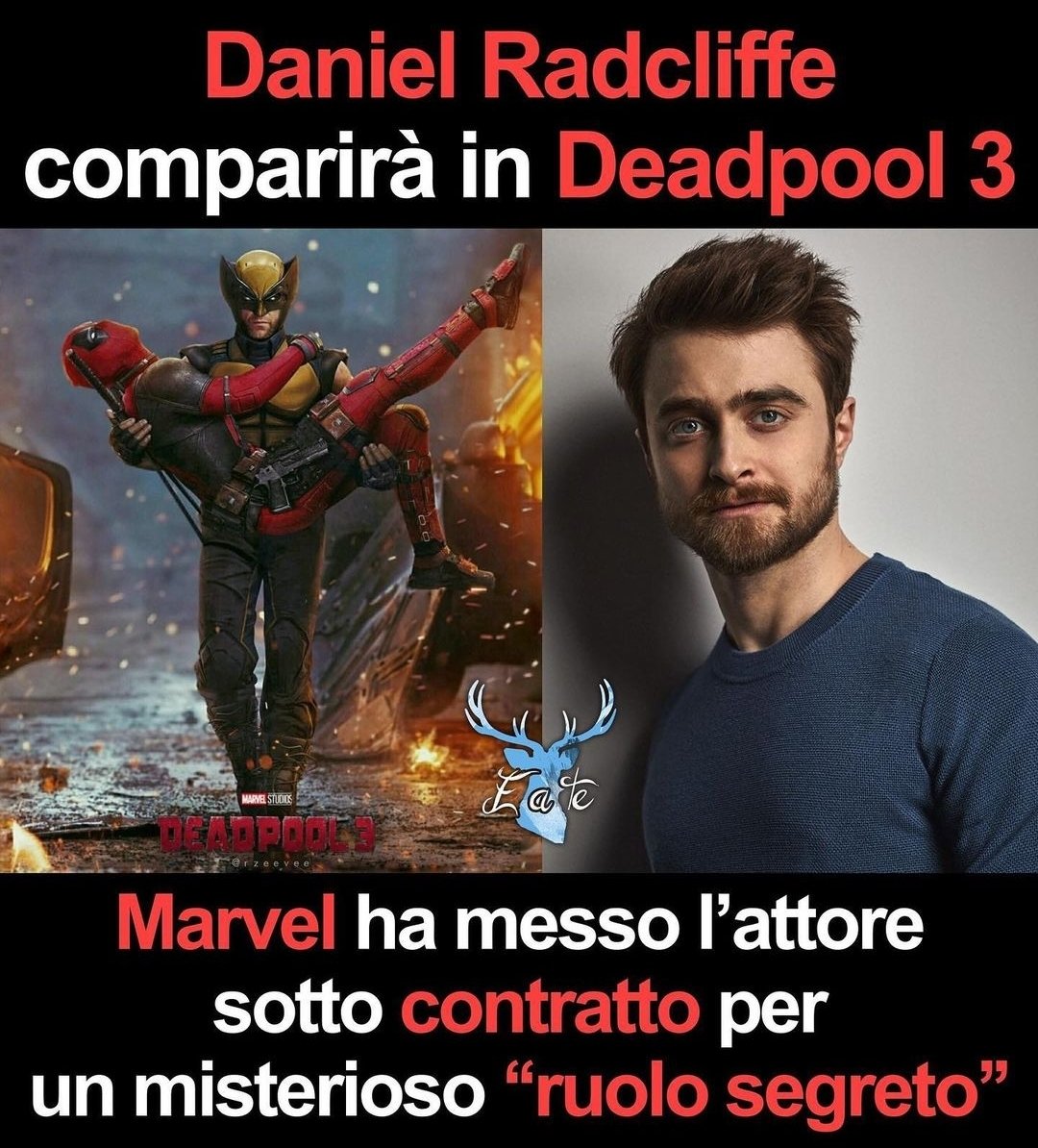 Ora il mio sogno nel cassetto è vedere Deadpool ammazzare Harry Potter ahahahahah