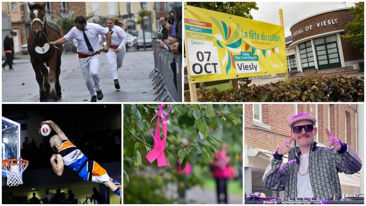 #Cambrésis #Valenciennois #SambreAvesnois : on fait quoi ce week-end ? #loisirs  lavoixdunord.fr/1381431/articl…