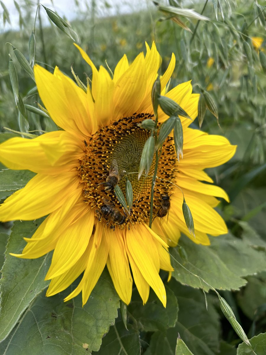 Michelle Carkner tweet media