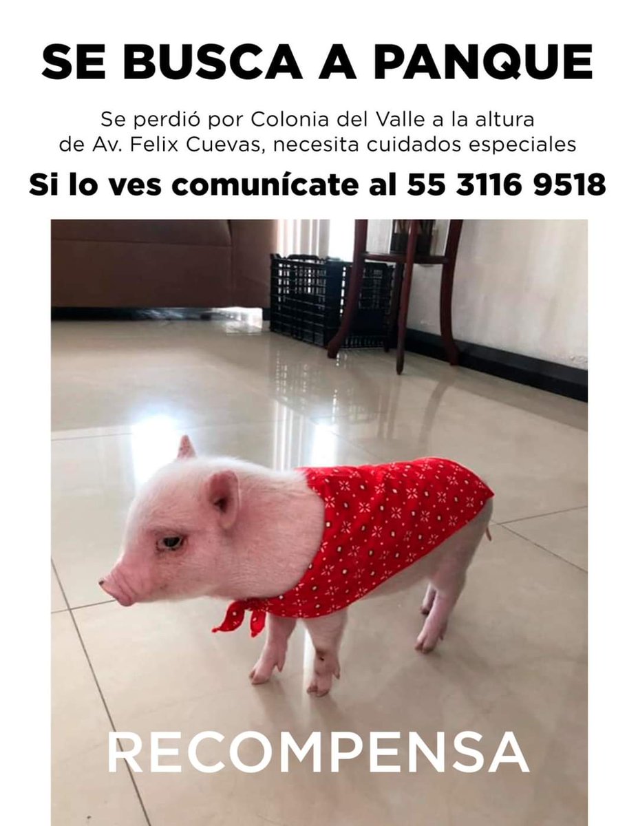 TecStudentPosts's tweet image. 