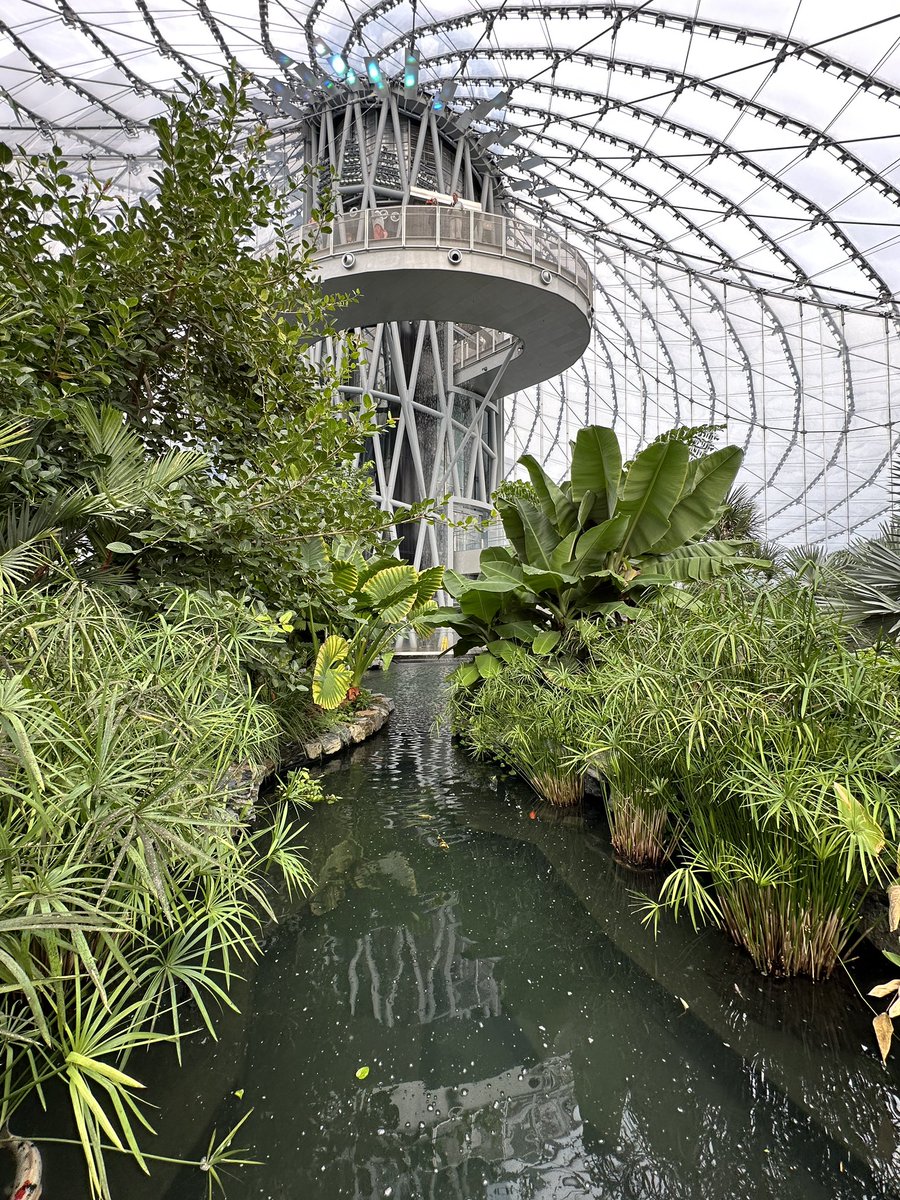 sciencegirlcdn's tweet image. The Leaf at Assiniboine Park #ywg