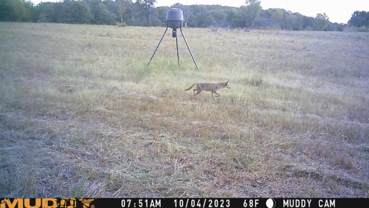 Codie_Sanchez's tweet image. My favorite part about our private camping &amp;amp; hunting sites... the game cams.

We&apos;re adding RV spots, tiny homes and a range. Stay tuned.