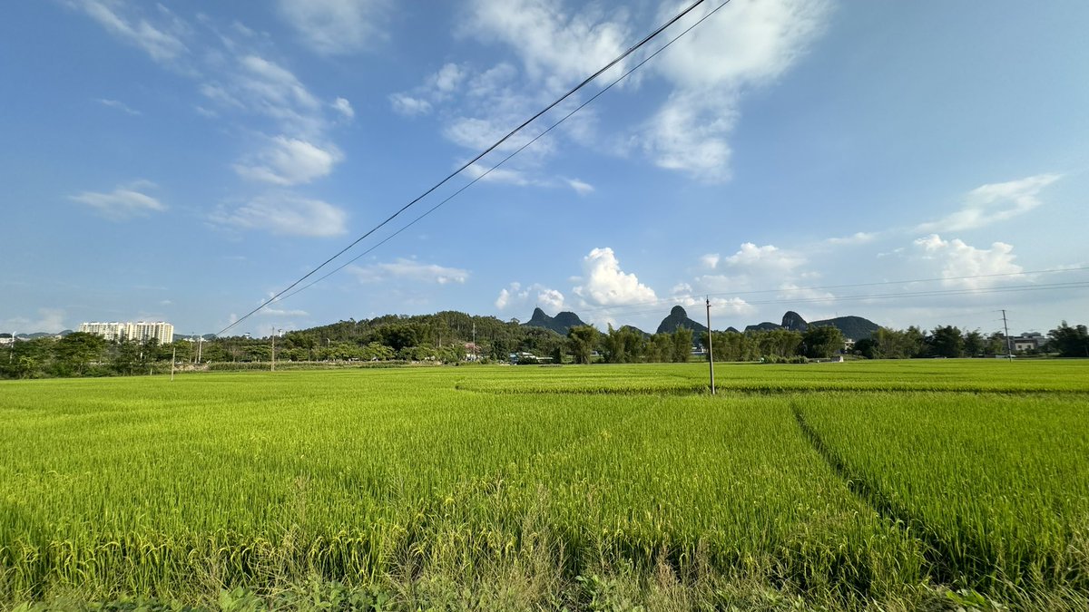 萧音Elektrotek tweet media