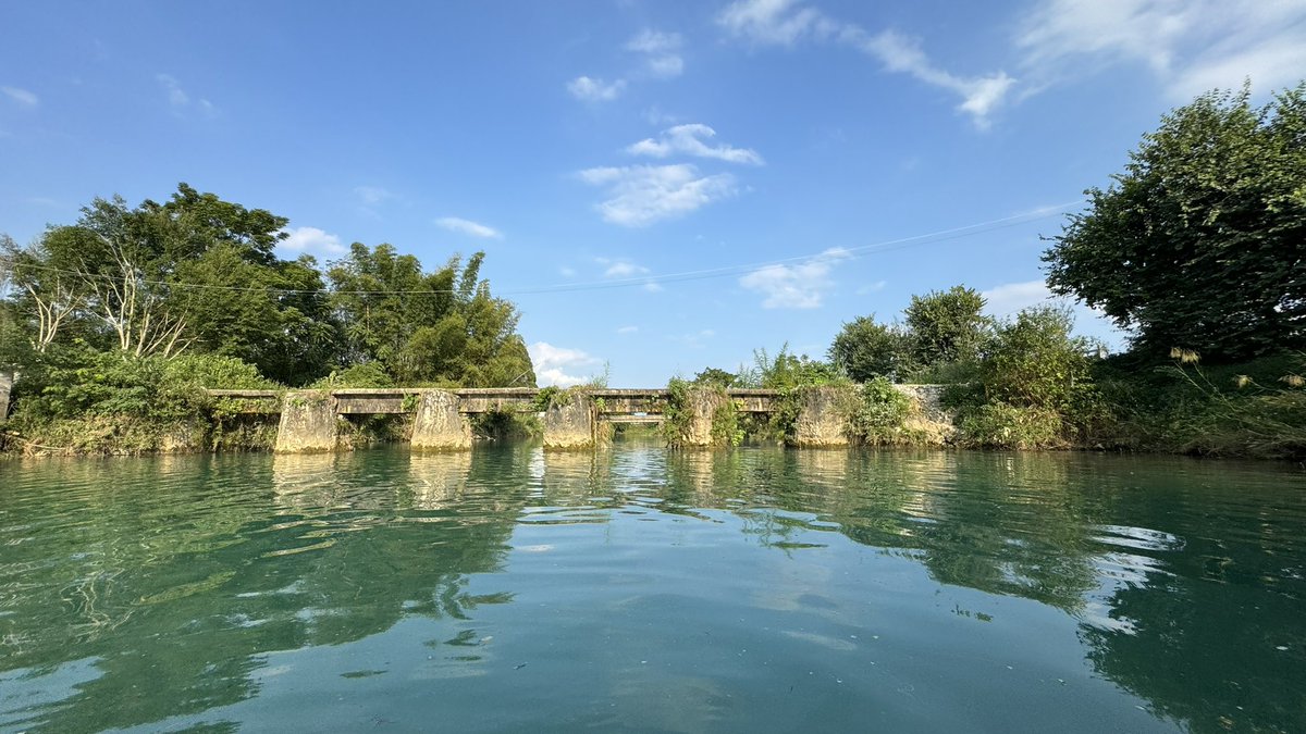 萧音Elektrotek tweet media