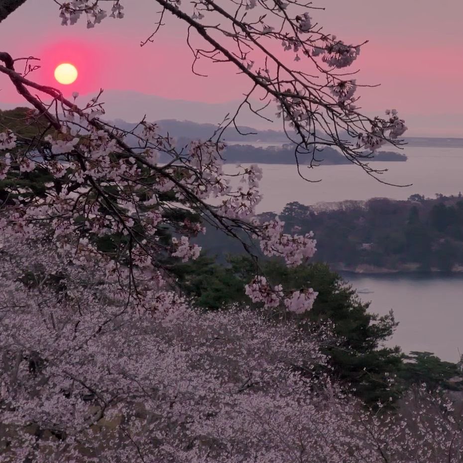 — ˚➶ ｡˚  sponsored 300 #robux giveaway 

• follow me + @b9rbiie
• like + retweet 
• reply when done 

— hcs: like &amp; retweet their pinned, stay active 🎀